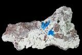 Vibrant Blue Cavansite Clusters on Stilbite - India #168257-1